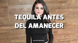 She - Selena Gomez (Sub español)