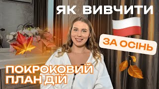 картинка: Як вивчити польську за осінь? ПОКРОКОВИЙ ПЛАН