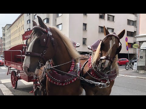 Helsinki At Arabası