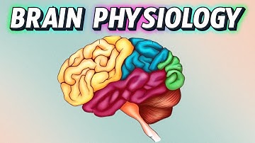 The Shocking Secret About Your Brain (You Won’t Believe It!) Brain Physiology