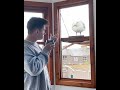 My Morning Routine with My Pet Seagull