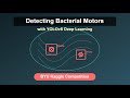 Learn from Mehdi Sharifi: Detecting Bacterial Motors with YOLOv8: AI in Microbiology