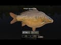 Русская Рыбалка 4 Russian Fishing 4 Куорский не смог. I7cix