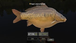 Русская Рыбалка 4 Russian Fishing 4 Куорский не смог. I7cix