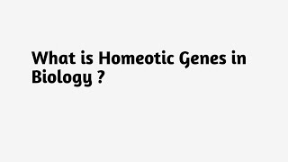 What is Homeotic Genes in Biology ?