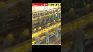 How to make Mango ? Juice in Factory ? shorts