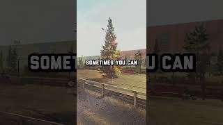 The Christmas Tree! - Tarkov Guide