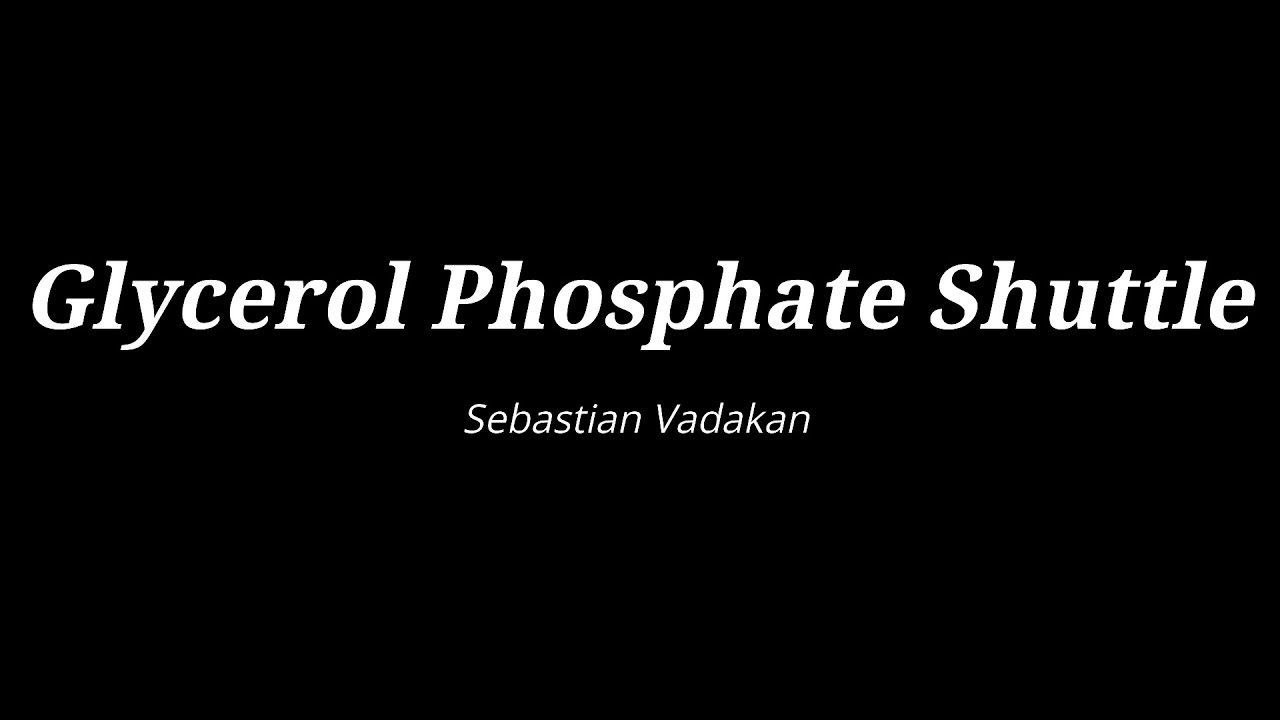 Glycerol phosphate Shuttle - YouTube