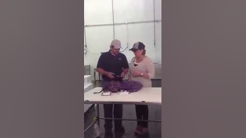 Congressional Seafood QR Codes