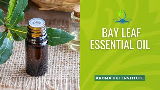 Bay Leaf Essential Oil