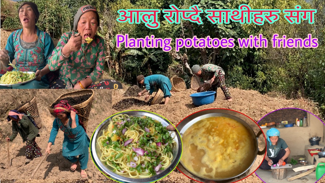 How to plant potato in hill side of village?  @MilanSampangvlog