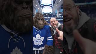 Toronto Maple Leafs suffer another loss