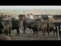 Agri Beef Co. Ranch to Table