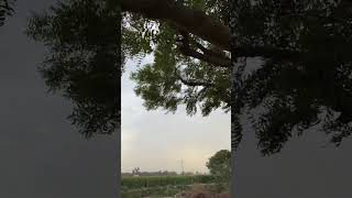 Village vibes 🏡🍀 #vlog #youtubeshorts #photography #rurallife #nature #villagelife