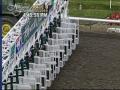 Zenyatta Wins Thriller Over St Trinians In Vanity 