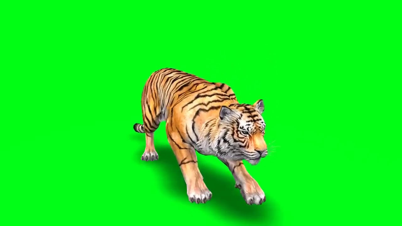 Green screen tiger YouTube