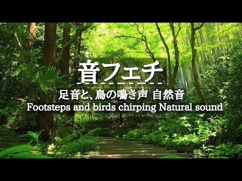 【音フェチ】足音と、鳥の鳴き声 自然音 - Footsteps and birds chirping Natural sound【ASMR】