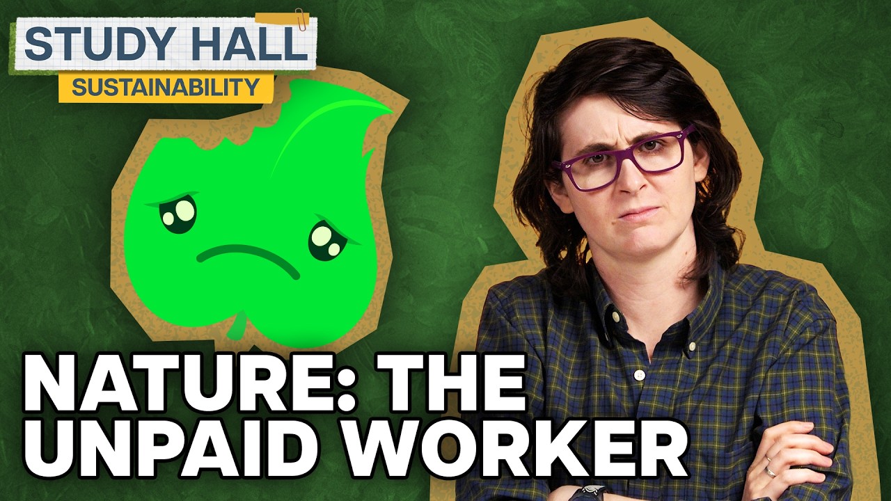 The Environmental Cost of Capitalism | Sustainability 21 of 31 | Study Hall
