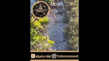 سورة الفاتحة بصوت شجي عذب مقام عراقي