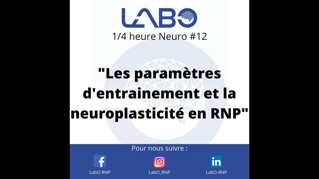 Neuroplasticité et entraînement : pourquoi tes exercices ne donnent plus rien
