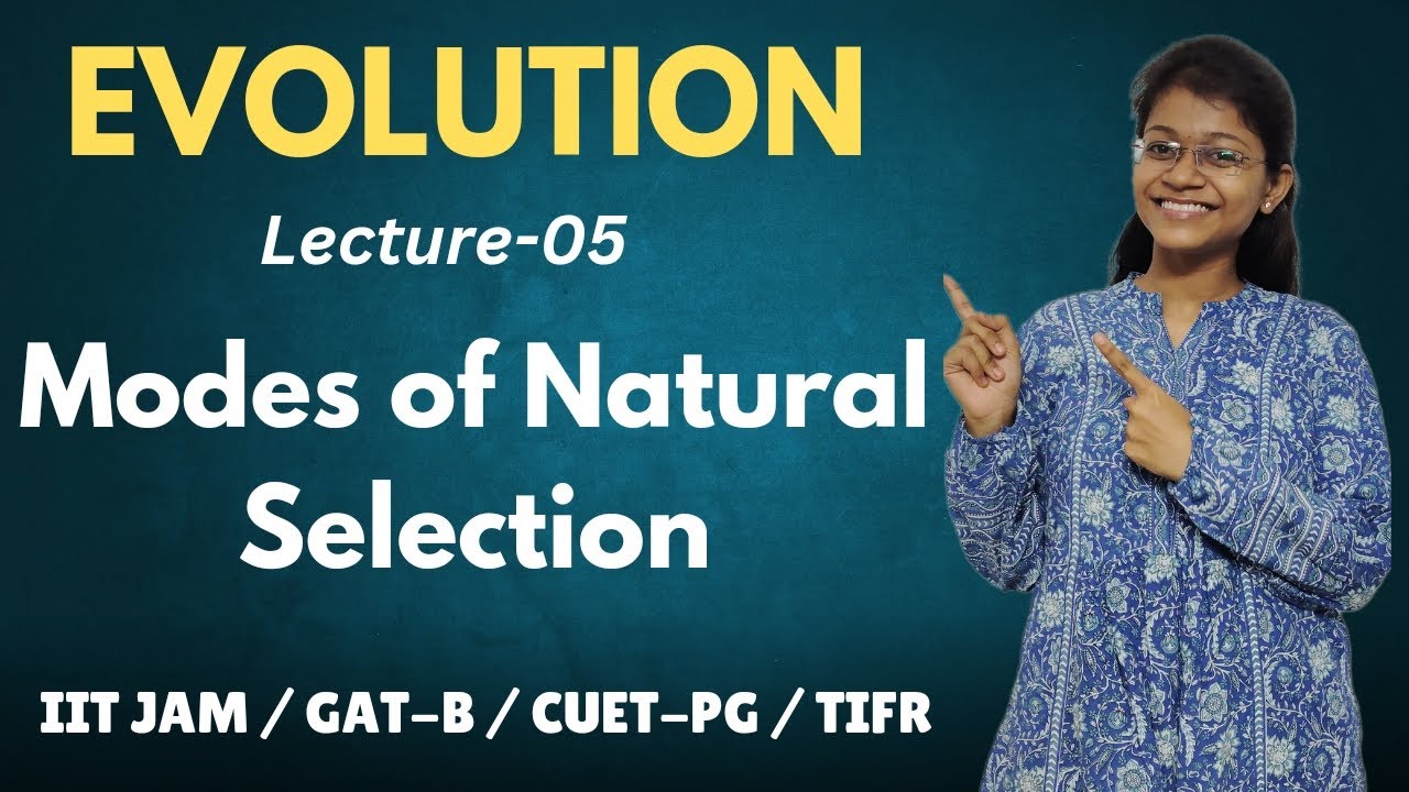 Evolution 05 | Modes of Natural Selection | IIT JAM Biotechnology - YouTube