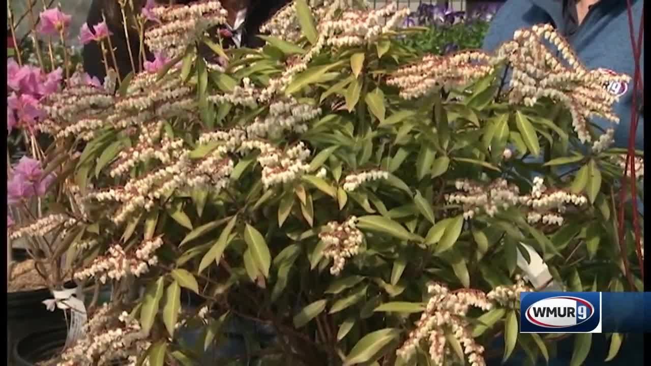 Grow it Green: Growing degree days