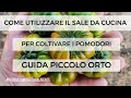 Guida | Sale da Cucina per Coltivare Pomodoro nell'Orto