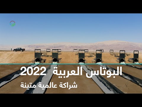 شركة البوتاس العربية    