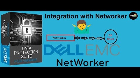 Data Domain integration with networker backup software step by step.