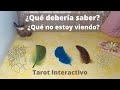 🐦 ¿QUÉ DEBERÍA SABER? ¿QUÉ NO ESTOY VIENDO?🐦 Tarot INTERACTIVO Lectura de CARTAS Lectura de ORÁCULOS