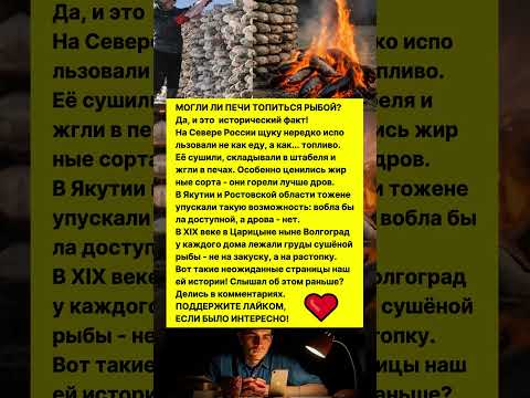 НА СЕВЕРЕ ВМЕСТО ДРОВ - РЫБА! Попробовал сам и не поверил… #факты #россия #интересно