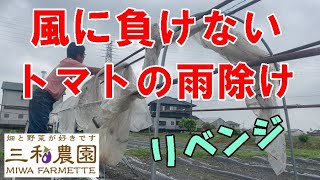 絶対に風で倒れない【トマトの雨除けハウス】作り。NO434(2022.4.25)