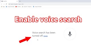 Fix voice search has been turned off chrome screenshot 4