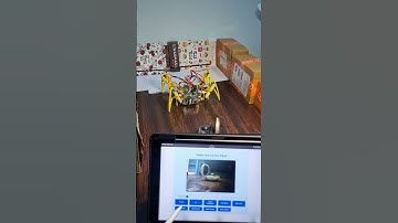Spider Bot Build & Test! 🤖🕷️