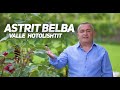 Astrit belba  valle hotolishtit 2020