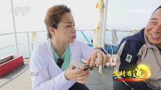 《生财有道》 20230706 海里捞金 就在北纬39度| 财经风云