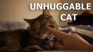 Boki Doesn't Want To Hug Me! by Hani Cat 279 views 7 years ago 1 minute, 49 seconds