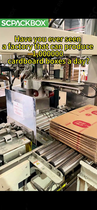 Ever seen a factory that produces a million cardboard boxes a day?