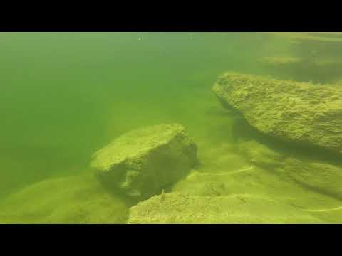 Bottom of Blue Hole Dinosaur Valley State Park | Under Water Discovery | Glen Rose TX