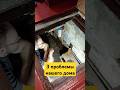 3 проблемы нашего дома