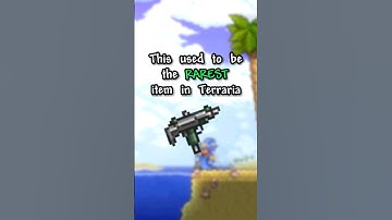 This used to be the RAREST item in Terraria