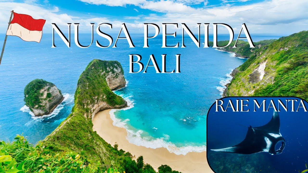 Incroyable on nage avec des raies manta géantes de 6 mètres !