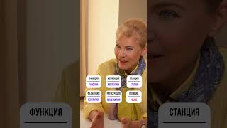 Как запомнить сотню английских слов?