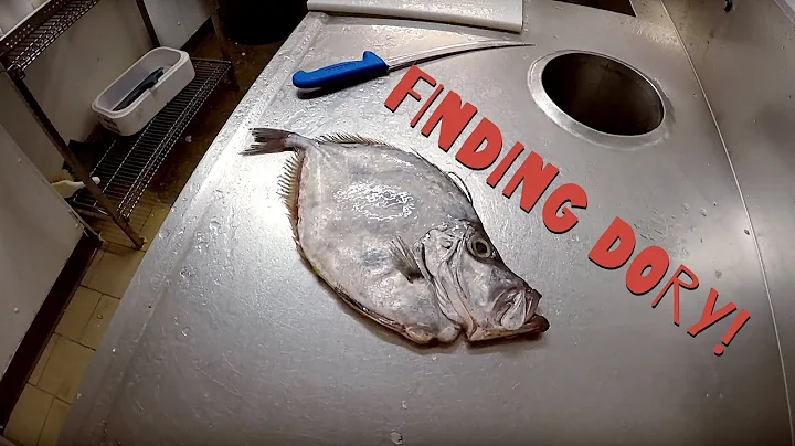ジョン・ドリーを探せ！魚の料理物語