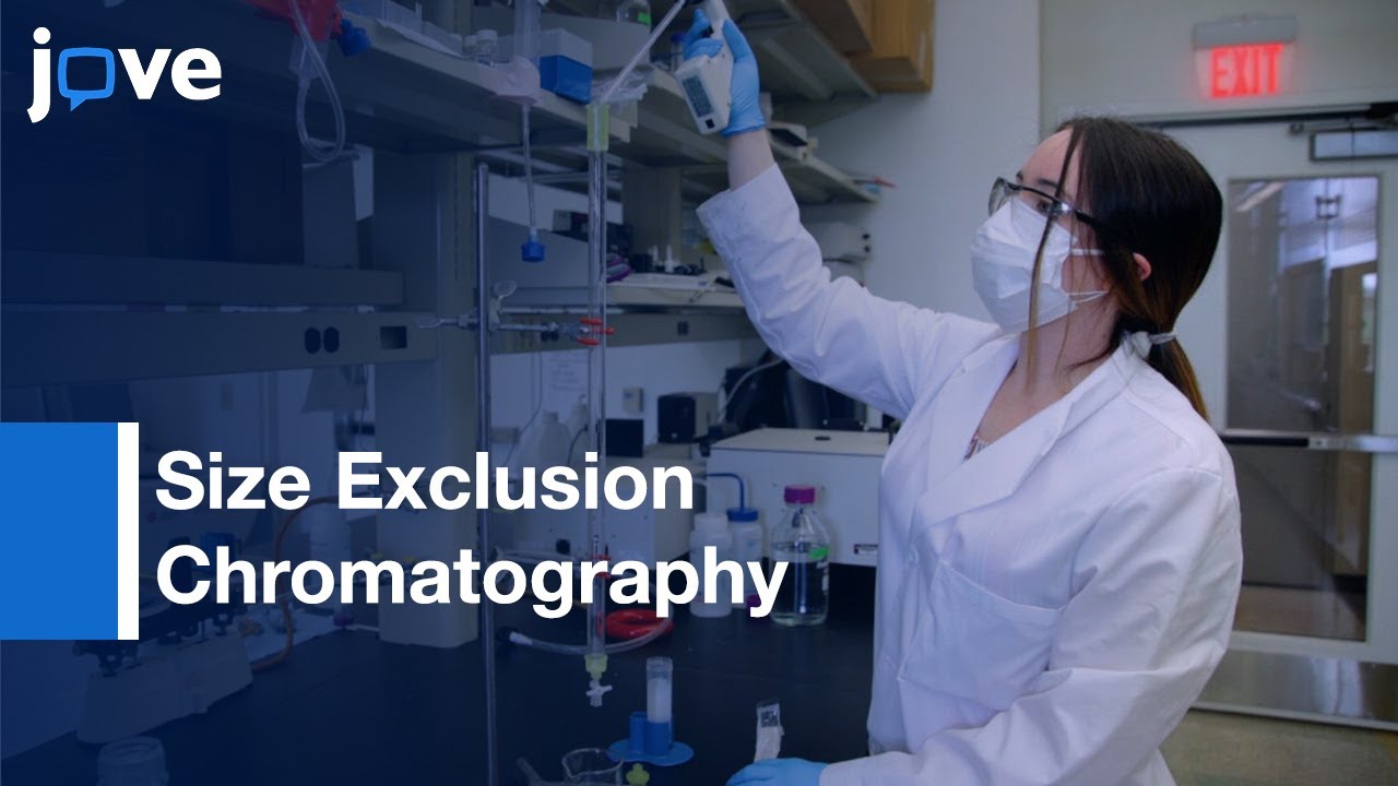 Size Exclusion Chromatography: Bacterial Outer Membrane Vesicle ...