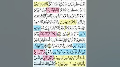 تيسير حفظ سورة البقرة بالتكرار الوجه الثامن والعشرون الآيات (187-190)مكرر 5 مرات بصوت الشيخ عبد البا