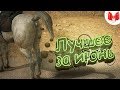 "Баги, Приколы, Фейлы" Лучшее за июнь 2017