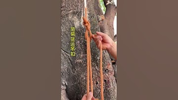 Simple freight buckle super practical bundling skills knot life helper