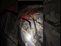 назад в будущие найдено