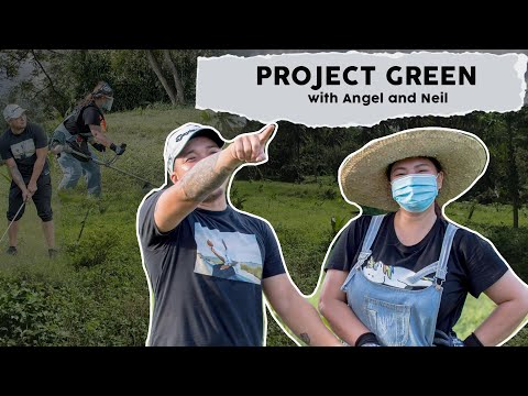 Project Green with Angel and Neil | The Angel and Neil Channel